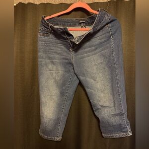 d. jeans Women's Dark Blue Ankle Jeans